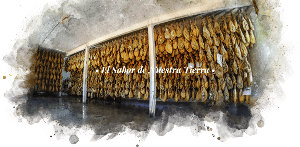 imagen pantalla principal